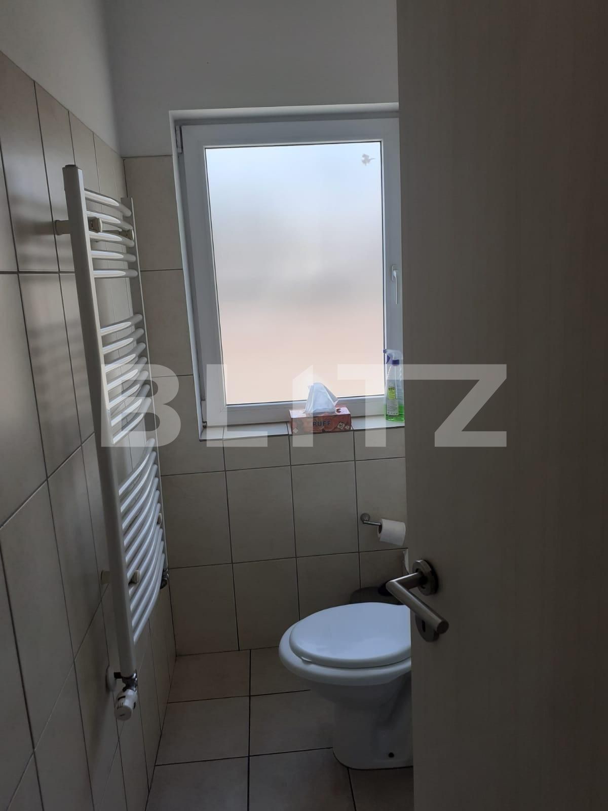 Spațiu industrial de vânzare Sagului - 93115SVI | BLITZ Timișoara | Poza11