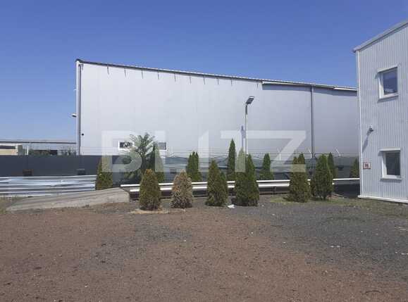 Spațiu industrial de vânzare Sagului - 93123SVI | BLITZ Timișoara | Poza3