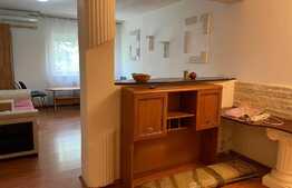 Apartament de 1 camera, 43 mp, mobilat/utilat, zona Sagului