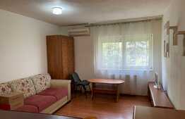 Apartament de 1 camera, 43 mp, mobilat/utilat, zona Sagului