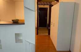 Apartament de 1 camera, 43 mp, mobilat/utilat, zona Sagului