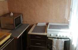 Apartament de 1 camere, 22 mp, mobilat/utilat, zona Dambovita!