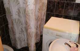 Apartament de 1 camere, 22 mp, mobilat/utilat, zona Dambovita!