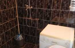 Apartament de 1 camere, 22 mp, mobilat/utilat, zona Dambovita!