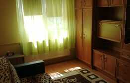 Apartament de 1 camere, 22 mp, mobilat/utilat, zona Dambovita!