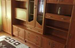 Apartament de 1 camere, 22 mp, mobilat/utilat, zona Dambovita!