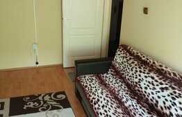 Apartament de 1 camere, 22 mp, mobilat/utilat, zona Dambovita!