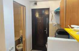 Apartament de 1 camera, 15 mp, mobilat/utilat, zona Soareli