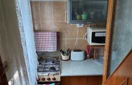 Garsoniera 22 mp, decomandata, zona Buziasului