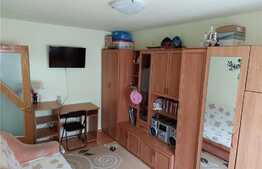 Garsoniera 22 mp, decomandata, zona Buziasului