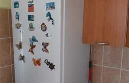 Garsoniera 22 mp, decomandata, zona Buziasului