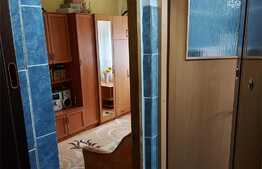 Garsoniera 22 mp, decomandata, zona Buziasului