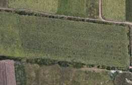 Teren extravilan 7200 mp, front 60 ml, Giarmata Vii