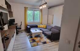 Apartament de 2 camere, 42 mp, renovat, zona Take Ionescu