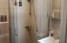 Apartament de 2 camere, 42 mp, renovat, zona Take Ionescu