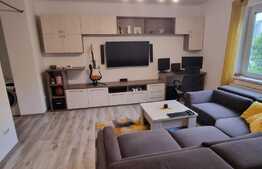 Apartament de 2 camere, 42 mp, renovat, zona Take Ionescu