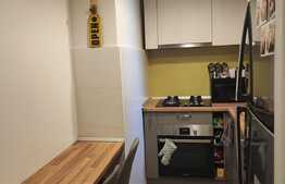 Apartament de 2 camere, 42 mp, renovat, zona Take Ionescu