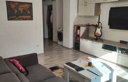 Apartament de 2 camere, 42 mp, renovat, zona Take Ionescu