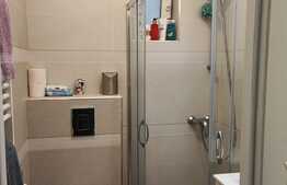 Apartament de 2 camere, 42 mp, renovat, zona Take Ionescu