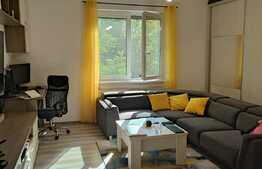 Apartament de 2 camere, 42 mp, renovat, zona Take Ionescu