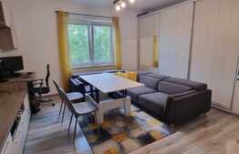 Apartament de 2 camere, 42 mp, renovat, zona Take Ionescu