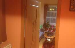 Garsoniera de 22 mp, etaj intermediar, zona Lipovei