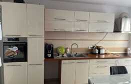 Duplex de 5 camere, 145 mp, terasa, zona Dumbravita