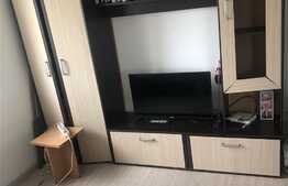 Garsoniera de 17 mp, decomandata, zona Aradului