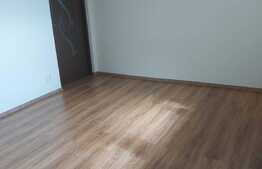 Apartament 1 camera, 45 mp, decomandat, zona Sagului 