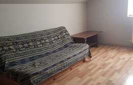 Apartament 2 camere, 55 mp, mobilat/utilat, zona Sagului