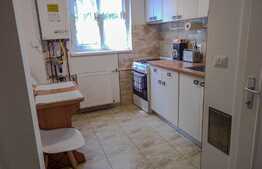Apartament de 2 camere, 48 mp, mobilat/utilat, zona Gheorghe Lazar