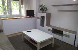 Apartament de 2 camere, 48 mp, mobilat/utilat, zona Gheorghe Lazar