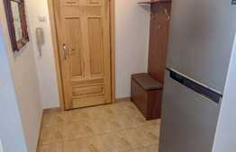 Apartament de 2 camere, 48 mp, mobilat/utilat, zona Gheorghe Lazar