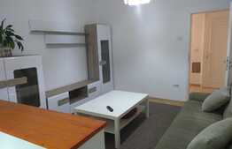 Apartament de 2 camere, 48 mp, mobilat/utilat, zona Gheorghe Lazar