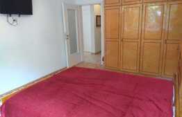 Apartament de 2 camere, 48 mp, mobilat/utilat, zona Gheorghe Lazar