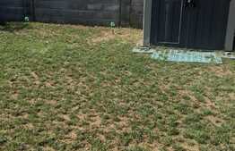 Duplex mobilat si utilat, 115 mp utili, Dumbravita