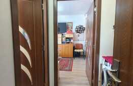 Apartament de 2 camere, 40 mp, mobilat/utilat, Giroc