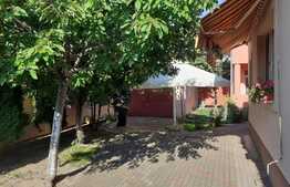 Casa individuala 360 mp, 980 mp teren, zona Cetatii 