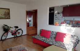 Apartament 2 camere, 54 mp, mobilat/utilat, zona Buziasului