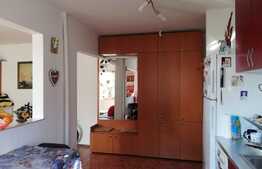 Apartament 2 camere, 54 mp, mobilat/utilat, zona Buziasului