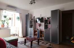 Apartament 2 camere, 54 mp, mobilat/utilat, zona Buziasului