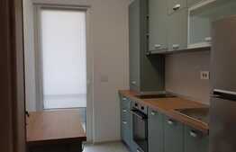 Apartament 1 camera, 37 mp, mobilat/utilat, zona Aradului 