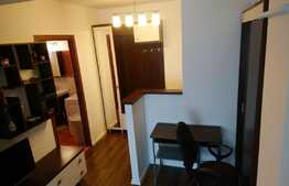 Apartament 2 camere, 42 mp, mobilat/utilat, zona Lipovei
