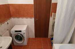 Apartament 2 camere, 42 mp, mobilat/utilat, zona Lipovei