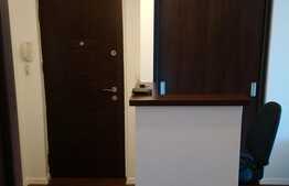 Apartament 2 camere, 42 mp, mobilat/utilat, zona Lipovei