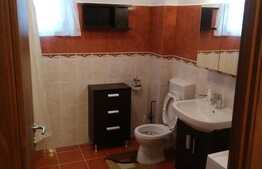 Apartament 2 camere, 42 mp, mobilat/utilat, zona Lipovei