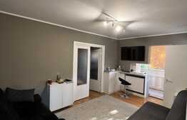 Apartament 3 camere, 50 mp, zona Sagului 