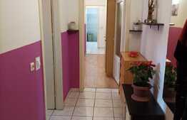 Apartament de 2 camere, 65 mp, mobilat/utilat, zona Calea Sagului