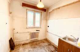 Apartament 2 camere, 46 mp, decomandat, zona Ultracentrala