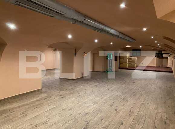 Spațiu comercial de vânzare Ultracentral - 94701SVC | BLITZ Timișoara | Poza1